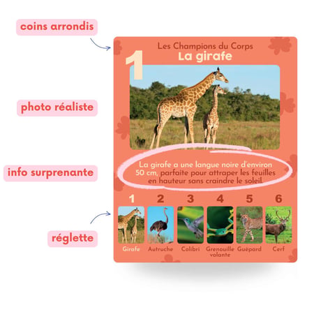 media/mkp/8462f43d9a3641b4881fe187308f342a