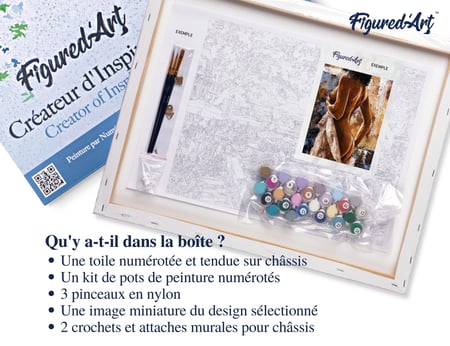 Peinture par Numéro Figured'Art avec Cadre - Courbes Estompées - Kit de Loisir Créatif DIY Numéro d'Art Complet - 40x50cm toile tendue sur châssis