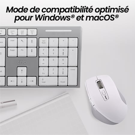media/mkp/85268cae28604a32af7c2b481299508f