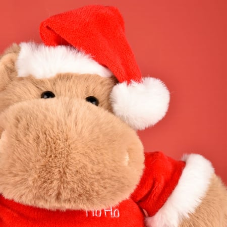 media/mkp/878a2132433342bc95455ebd1d6186a6