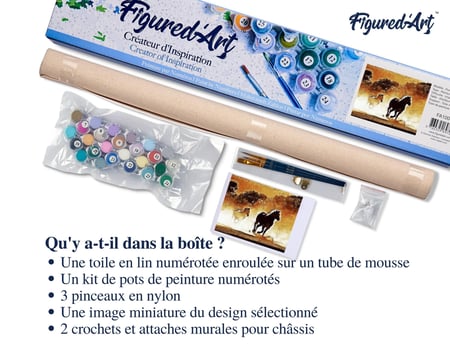 Peinture par Numéro Figured'Art - Chevaux en action - Kit de Loisir Créatif DIY Numéro d'Art Complet - 40x50cm sans châssis en bois