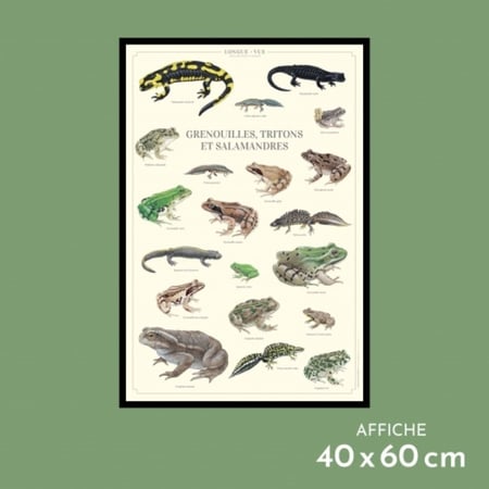 media/mkp/8d2199ed7b684bfaba6ab249513477b0_20056