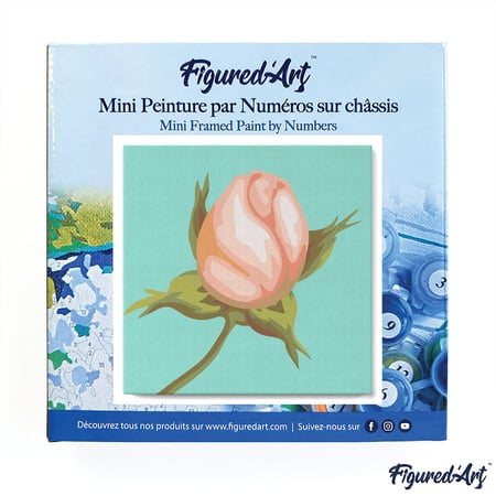 Mini Peinture par Numéro Figured'Art 20x20cm avec cadre Fleur en bouton - Petit Format