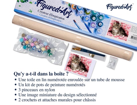 Peinture par Numéro Figured'Art - Chaton enrobé - Kit de Loisir Créatif DIY Numéro d'Art Complet - 40x50cm sans châssis en bois