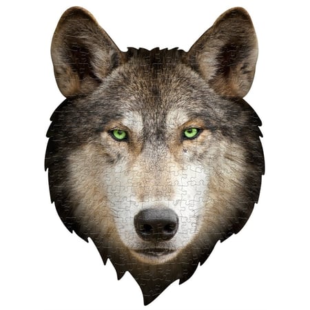 media/mkp/8e5e9f4e36014da9af11addd73f5f723