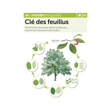 Miniguide 69 - Clé des feuillus