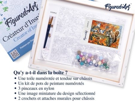 Peinture par Numéro Figured'Art avec Cadre - Ecureuil espiègle - Kit de Loisir Créatif DIY Numéro d'Art Complet - 40x50cm toile tendue sur châssis