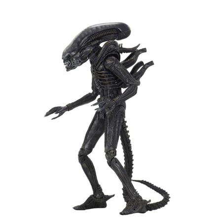 media/mkp/91bdf77695154bce8c429280204fd59e