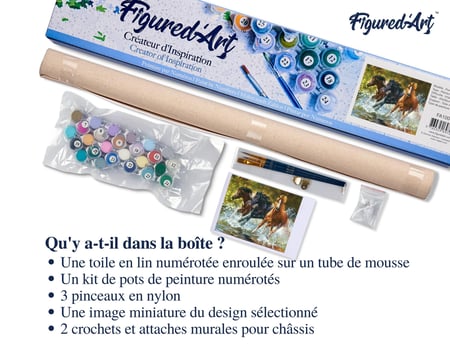 Peinture par Numéro Figured'Art - Chevaux de Camargue - Kit de Loisir Créatif DIY Numéro d'Art Complet - 40x50cm sans châssis en bois
