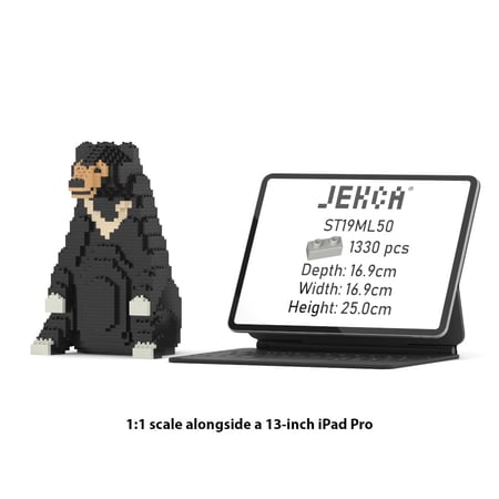 media/mkp/9740d3b71e544deebf819348912744df