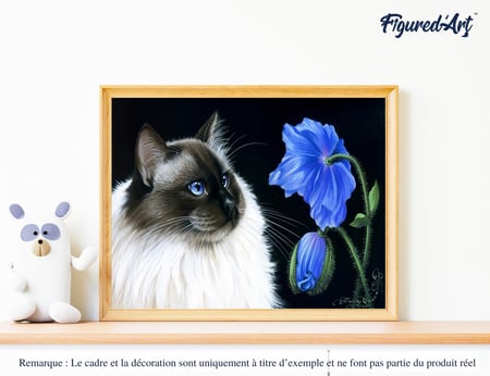 Peinture par Numéro Figured'Art - Face à face floral - Kit de Loisir Créatif DIY Numéro d'Art Complet - 40x50cm sans châssis en bois