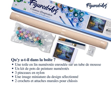 Peinture par Numéro Figured'Art - Elan et aurore boréale - Kit de Loisir Créatif DIY Numéro d'Art Complet - 40x50cm sans châssis en bois
