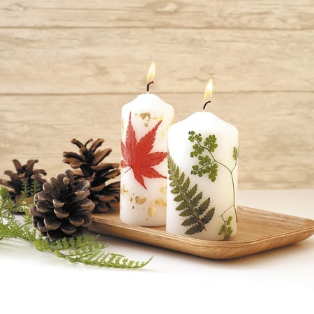 media/mkp/9bf41c4ee64b4551a1a046db63e469a8