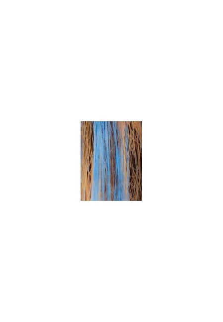 Mascara bio cheveux - Bleu