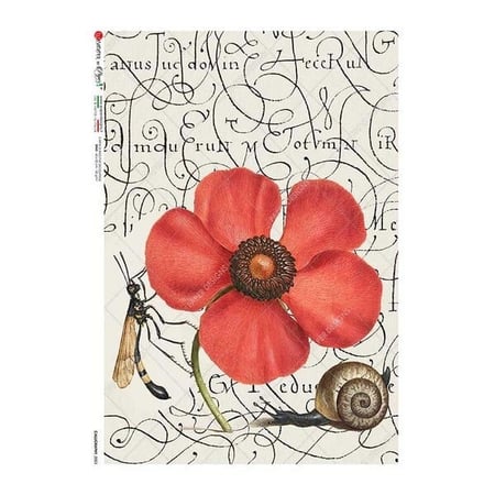1 feuille de papier de riz 22.5 x 32 cm découpage collage Paper Designs FLEUR ROUGE ESCARGOT 0003