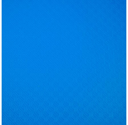 Exacompta - Classeur 2 anneaux 15mm polypropylène OPAK - A4 - Bleu clair