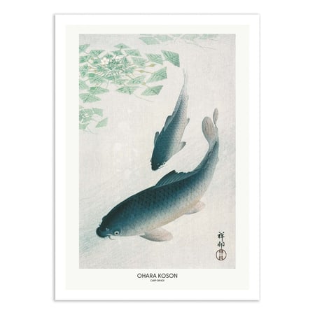 Affiche 30x40 cm - Carp Or Koi - Pictufy