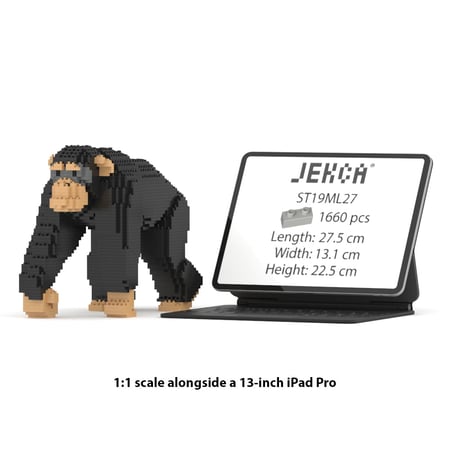 media/mkp/a0c0a3b6a79640a6ab070fa448a27bf9