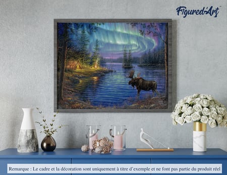 Peinture par Numéro Figured'Art - Elan et aurore boréale - Kit de Loisir Créatif DIY Numéro d'Art Complet - 40x50cm sans châssis en bois