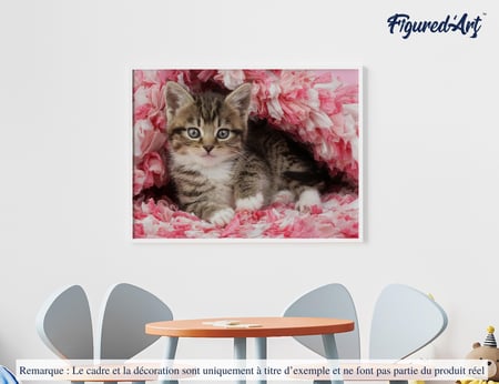 Peinture par Numéro Figured'Art - Chaton enrobé - Kit de Loisir Créatif DIY Numéro d'Art Complet - 40x50cm sans châssis en bois