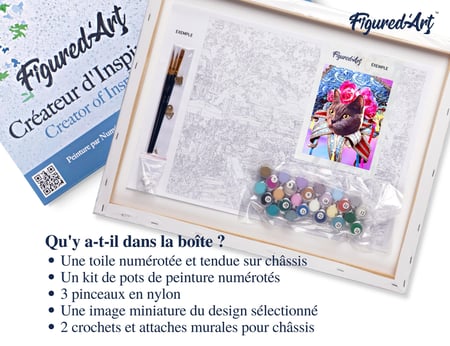 Peinture par Numéro Figured'Art avec Cadre - Chat Mardigras - Kit de Loisir Créatif DIY Numéro d'Art Complet - 40x50cm toile tendue sur châssis