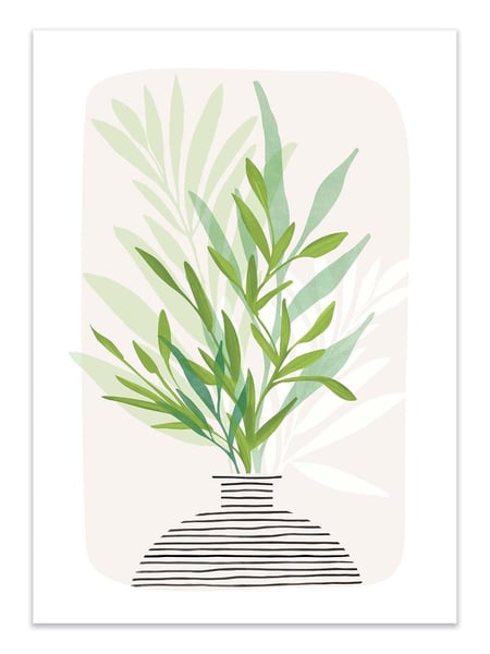 Affiche 50 x 70 cm -  Olive branches - Kristian Gallagher