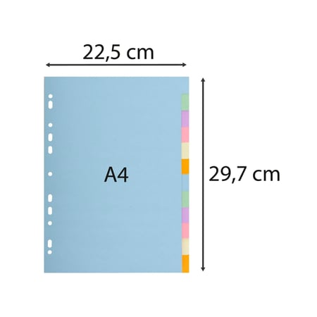 media/mkp/aa1e5a78bb38495681cc200d568e8df5