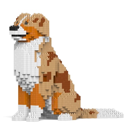 Chien Berger Australien rouge merle Taille standard | JEKCA | 14 ans et +