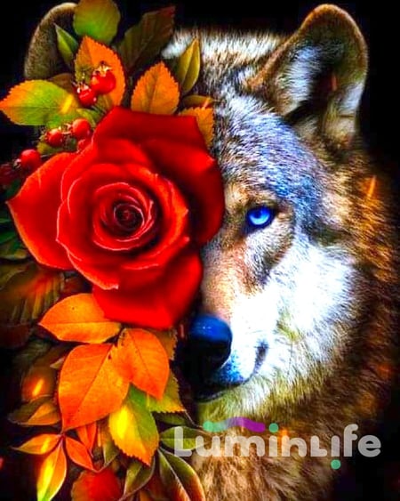 media/mkp/b0b0cc52462145f982c162f930f7a804