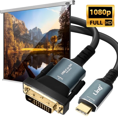 Câble DVI LINQ Câble USB-C vers DVI Full HD 1080P 1.8m