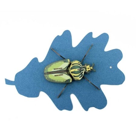 Trophée Insecte - Globulus Giganticus