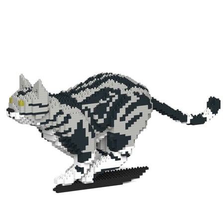 media/mkp/b3330b0e19c4411cbceac27f1499a5c7