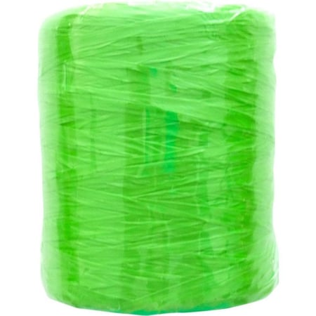 Graine Créative - Raphia synthétique Vert vif 40 g
