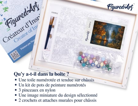 Peinture par Numéro Figured'Art avec Cadre - Camping sous une nuit etoilée - Kit de Loisir Créatif Numéro d'Art - 40x50cm toile tendue sur châssis