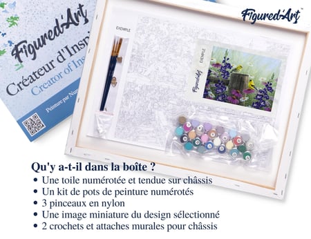 Peinture par Numéro Figured'Art avec Cadre - Couple de chardonneret - Kit de Loisir Créatif DIY Numéro d'Art - 40x50cm toile tendue sur châssis