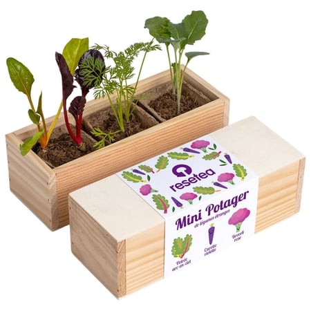Resetea - Mini potager de légumes étranges