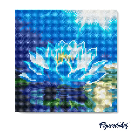 media/mkp/bfaf5cc6808444ada4e4a12b69165139