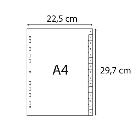 media/mkp/c1337a01df75400588fa86b4a935d1ba