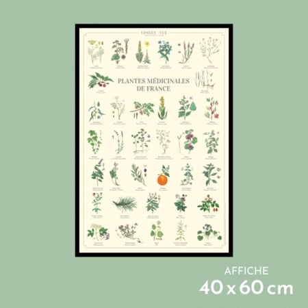 media/mkp/c269fecdeee54e859e230839df0d42b7_e9b0c