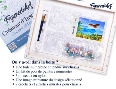 Peinture par Numéro Figured'Art avec Cadre - Aigle et Paysage de Suisse - Kit de Loisir Créatif DIY Numéro d'Art - 40x50cm toile tendue sur châssis