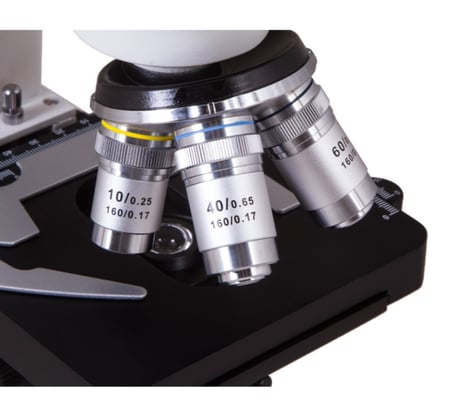 media/mkp/cd1baf2705d94de38e6cb110abd6604d