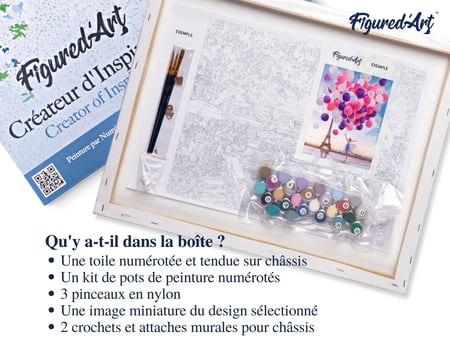 Peinture par Numéro Figured'Art avec Cadre - Lâcher de Ballons à Paris - Kit de Loisir Créatif DIY Numéro d'Art - 40x50cm toile tendue sur châssis
