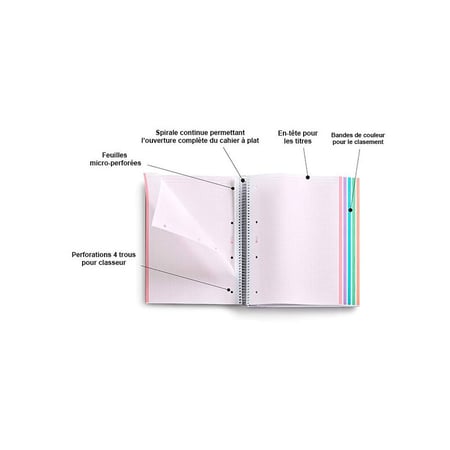 media/mkp/cfe451a4fd224cd7b9c3915a76f6a85c