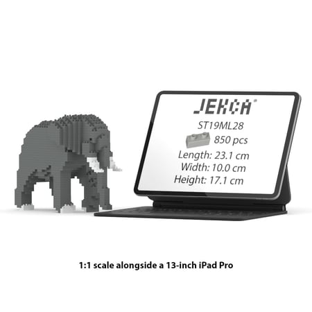 media/mkp/d5e7836537fa4659a86090a4c2806e7f