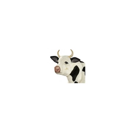 media/mkp/d7468baede8b4279b3336ced133e9932