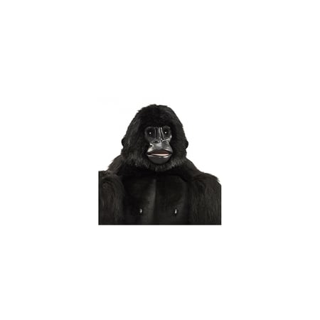 media/mkp/d895ff5de28c4ecdb9678ae21528bfcd