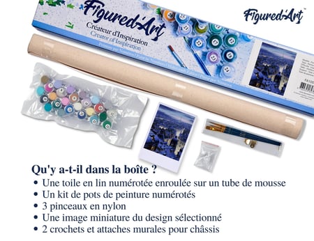 Peinture par Numéro Figured'Art - Toits de Paris - Kit de Loisir Créatif DIY Numéro d'Art Complet - 40x50cm sans châssis en bois