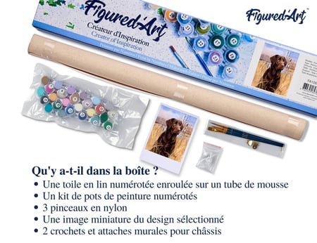 Peinture par Numéro Figured'Art - Chien labrador - Kit de Loisir Créatif DIY Numéro d'Art Complet - 40x50cm sans châssis en bois
