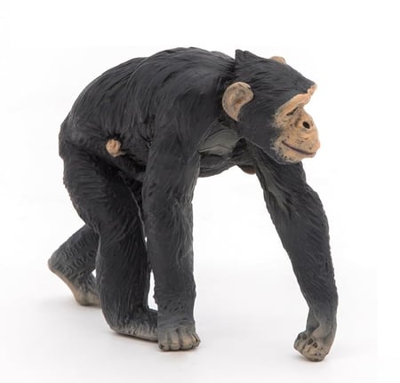media/mkp/d9a0c44421b94bf0b64c380cf051c911