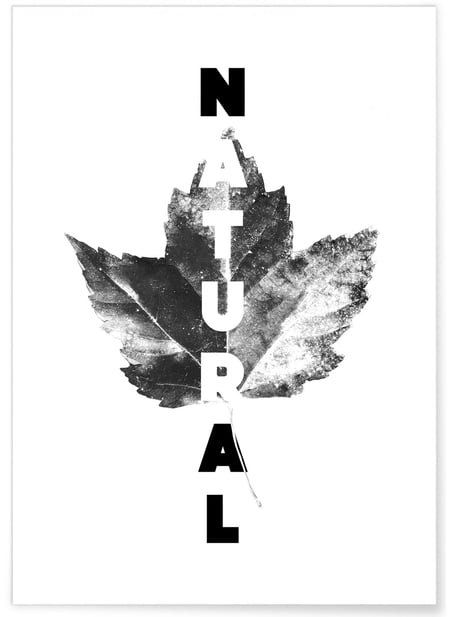 Affiche Natural | A3 : 29,7x42cm